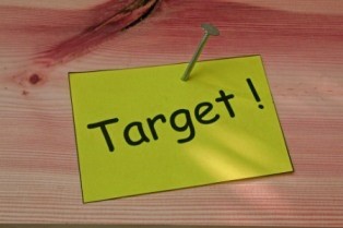 <i>The key to finding the right business idea is to zoom in on the right target! Niche marketing research is key to finding new and hot startup business ideas that are just ripe for the picking.</i>